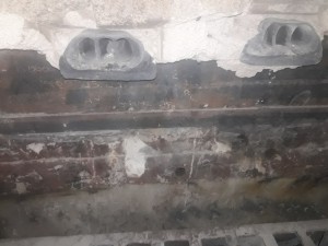 VIBROCOLADO DEL PECHO DE PALOMA DEL ENFRIADOR I VIBROCOLADO DEL PECHO DE PALOMA DEL ENFRIADOR I